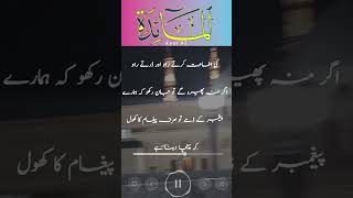 Surah Al Maidah Ayat 92 Urdu translation only  surahalmaidah urdutranslation shorts [upl. by Karina]