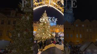 Prague Christmas Markets 202425❄️🎄✨🎅❤️ [upl. by Husein452]