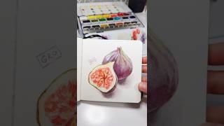 Quick Watercolor Sketch of Figs art painting fineart figs watercolortutorial watercolor [upl. by Nosbig601]