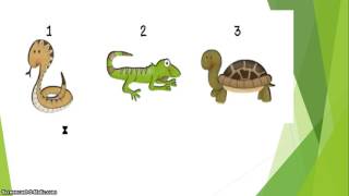 Dichotomous keys explained  IGSCE Biology [upl. by Tabb]