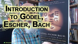 An Introduction to Gödel Escher Bach by Douglas Hofstadter or How I Got Introduced to GEB [upl. by Ydnak]