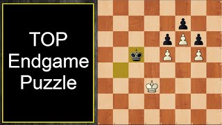 Beautiful Pawn Endgame Puzzle  Outflanking  Opposition [upl. by Suoiradal5]