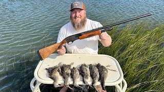 Hunting MUD CHICKENS aka Marsh Hen from a Boat Catch Clean Cook [upl. by Aikas]