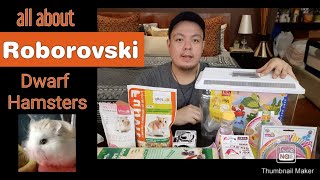 All about Roborovski Dwarf Hamsters  Filipino [upl. by Kezer358]