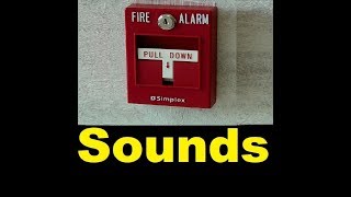 Fire Alarm Sound Effects All Sounds [upl. by Tedi]