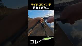 釣りたい人必見！！手軽にあの魚を釣る方法。つり釣りバス釣りバスfishingfish魚釣りバスフィッシングアウトドアライトゲームshortshorts [upl. by Newra4]