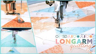 Introducing OESD Longarm Quilting [upl. by Docilla]