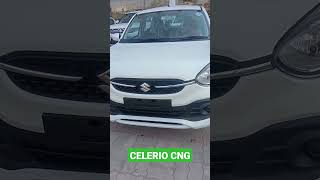 New maruti suzuki celerio vxi cng 2023 l celerio vxi cng [upl. by Dorcia]