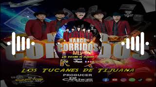 Mix Los Tucanes de Tijuana Mix Narco Corridos 2024 By Dj Carlitos Simalij 502 [upl. by Anaidni]