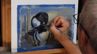 Hooded Merganser Timelapse Painting My 2025 Federal Duck Stamp Contest Entry [upl. by Ramey706]