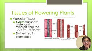 Organs of Flowering Plants [upl. by Brooking]