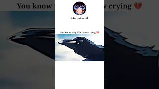 You know why This Crow crying 💔anime demonslayer trending [upl. by Tartan]