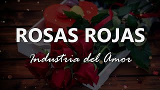 Industria del Amor  Rosas Rojas  Letra [upl. by Dahl]