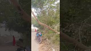 Gadi chalate Samay Road per Dhyan dekar Koi ped paudha To Nahi Gira Hua Hai [upl. by Quince]