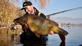 Pusiano  Carpfishing Business [upl. by Senior]