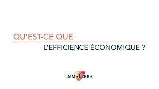 LEfficience Economique  quest ce que cest [upl. by Ojoj]