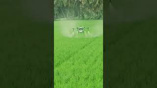 drone droneagriculturesprayer agriculture [upl. by Nette]