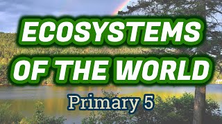 Terrestrial ECOSYSTEMS of the world  Primary Grade 5  Natural Science  Happy Learning Style [upl. by Bentley]