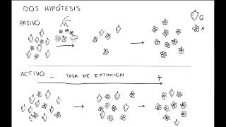 Gimnospermas vs angiospermas [upl. by Bergmans812]