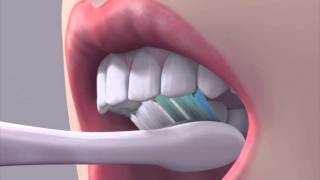 How to brush your teeth [upl. by Bouldon]