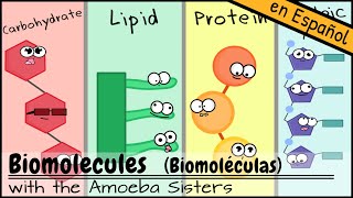 Biomoléculas [upl. by Thenna]