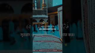 ya ibadi allazina amanu quran Tilawat foryou tilawat tilawatequran viaralshort [upl. by Ahsytal]