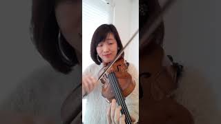 Winter from the four seasons violin vivaldi ヴィバルディ 四季より冬 第二楽章 [upl. by Remat]