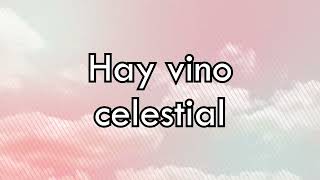 Vino celestial Avivamiento  Miel San Marcos  Karaoke [upl. by Tobie]