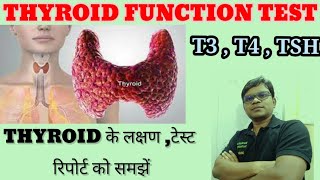 Thyroid Function Test  T3 T4 TSH Test Report Normal Range  Symptoms Of Thyroid [upl. by Ytak]