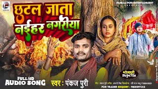 Bhojpuri Nirgun छुटल जाता नईहर नगरीया Pankaj puri निर्गुण भजन Chutal jata Naihar Nagariya [upl. by Anabella]