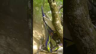 Jai envoyé la sherco dans les arbres lavieestbelleallonsrouler enduro [upl. by Ynahirb]