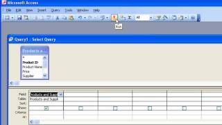 Microsoft Access Tutorial for Beginners 1  Overview Access 2003 [upl. by Edyaj]