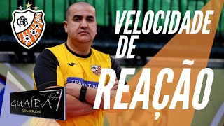 GUAIBA GOLEIROS  Velocidade de Reação  Movimentos  ACBF FUTSAL [upl. by Earehc]