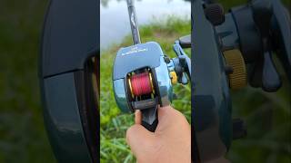 Classic reels TEAM DAIWAS 103 เอาใจคนชอบของแปลกซักหน่อยครับ shots fishing daiwareels [upl. by Gabbey]