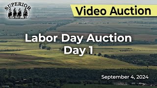 Superior Livestock AuctionLabor Day Auction Day 1 [upl. by Allerus130]