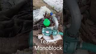 texmo monoblock pump centrifugalpump texmo [upl. by Galven577]