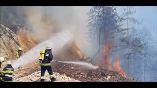 Video Waldbrand Zell Freibach Juni 2019 [upl. by Ahtreb]