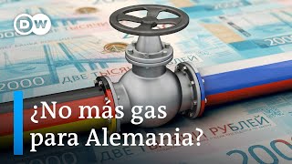 Preocupación en Alemania por corte temporal en el suministro de gas ruso [upl. by Landsman301]