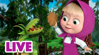 🔴 LIVE STREAM 🎬 Masha and the Bear ✨ Everybody has a gift 🎭 [upl. by Nosredna]