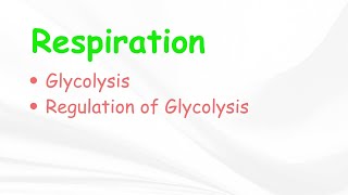 RespirationType of RespirationGlycolysisBSc 3rd YearLife Science Classes [upl. by Karena879]