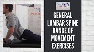 General Lumbar Spine Range of Movement exercises Mobility exercises for a stiff painful low back [upl. by Swithbart]