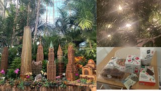 Christmas in NYC Vlog New York Botanical Garden train show grocery haul cozy Sunday [upl. by Ecnerwaled456]