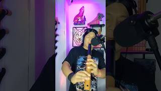 Wakan Tanka cover nativeamericanflute flute music nativemusic duet [upl. by Araet]