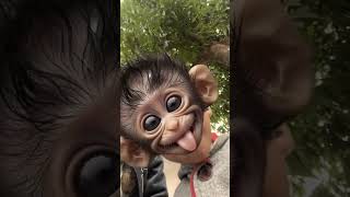 hiphop funny monkey cartoon effect trendingshortsvideo [upl. by Melgar]