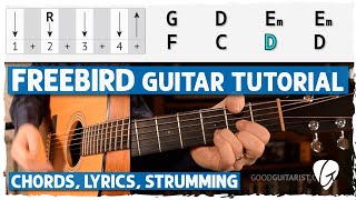 Easy Freebird Acoustic Guitar Lesson  Simplified Strumming amp Barre Chord Hack for Beginners [upl. by Notsgnal988]