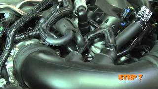 2011 2012 and 2013 Ford Mustang GT 50L KampN Air Intake Installation [upl. by Inait271]