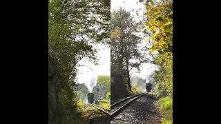 Lößnitzgrundbahn  Tradition mit Volldampf zum Fisch und Waldfest [upl. by Esoryram]