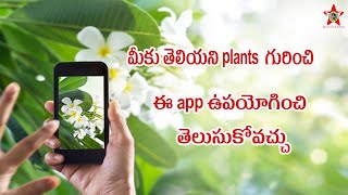 How to Know Plant Names Using Leafsnap app in Telugu [upl. by Orabla930]