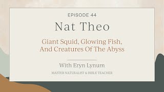 Giant Squid Glowing Fish And Creatures Of The Abyss  Episode 44 [upl. by Granny]