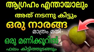 ഇന്ന് ഇത് ചെയ്താൽ ഒരു മണിക്കൂറിൽ ആഗ്രഹം നടക്കും  സമ്പന്നനാകുകയും ചെയ്യും [upl. by Odareg]